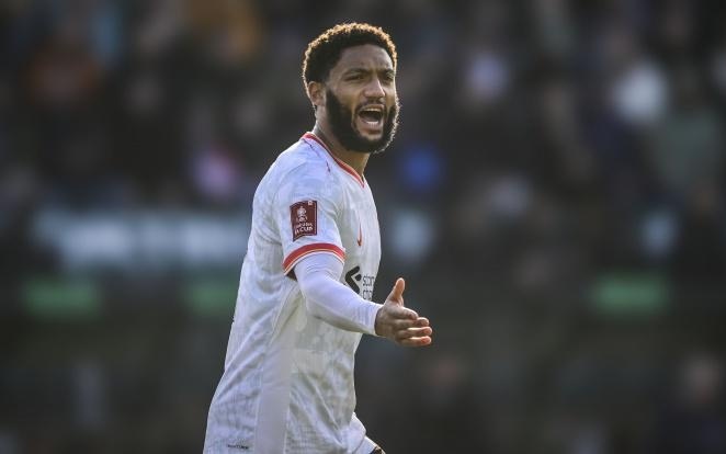 端都展示了 端都展示了